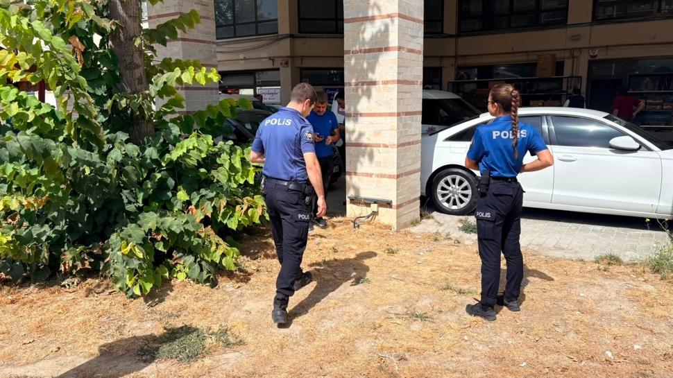 Kütahya'da vicdan sızlatan olay... Sokak kedisi bacakları kesilmiş halde bulundu