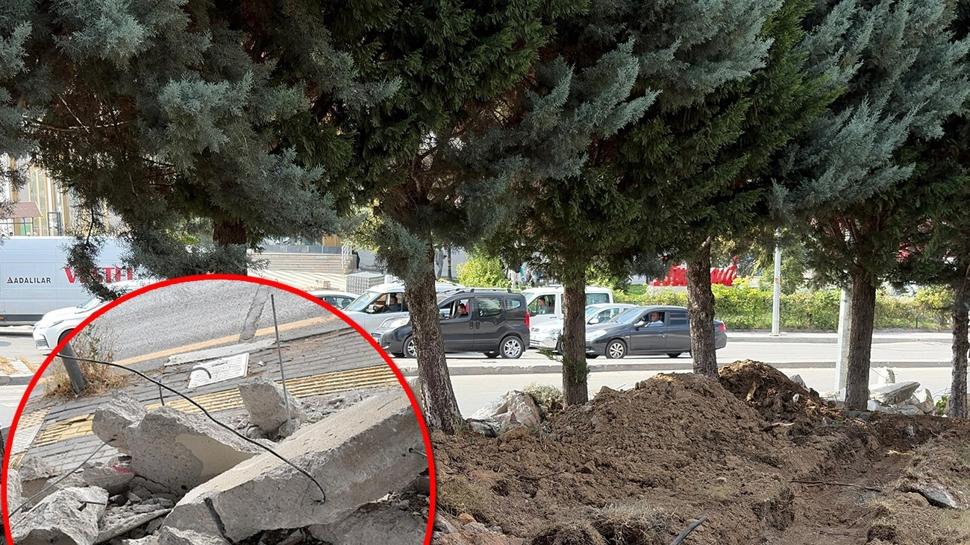 2 CHP'li belediyeden ağaç katliamı girişimi! Tepkiler geri adım attırdı