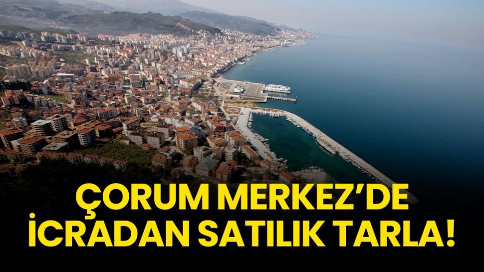 Çorum Merkez'de icradan satılık tarla!