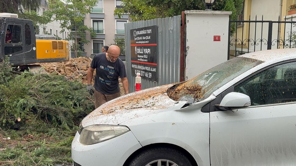Maltepe'de korkutan kaza: Kesilen ağaç araçların üzerine düştü