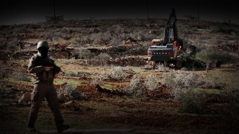 İşgalci İsrail hırsızlığa da başladı: Batı Şeria'da Filistinlilere ait 300 koyun çalındı
