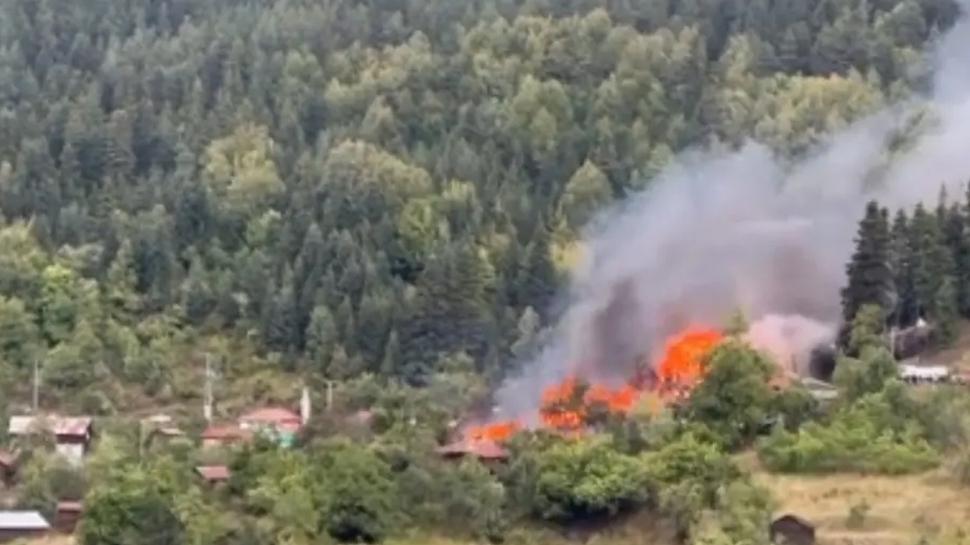 Kastamonu'nun İnebolu ilçesinde köy yangını