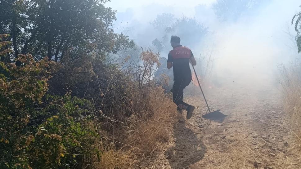 Siirt'te çıkan orman yangınına müdahale ediliyor