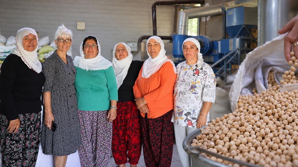 30 yıl sonra memleketine döndü, iş kurdu: Şimdi Avrupa'ya leblebi satıyor