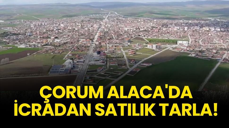 Çorum Alaca'da icradan satılık tarla!
