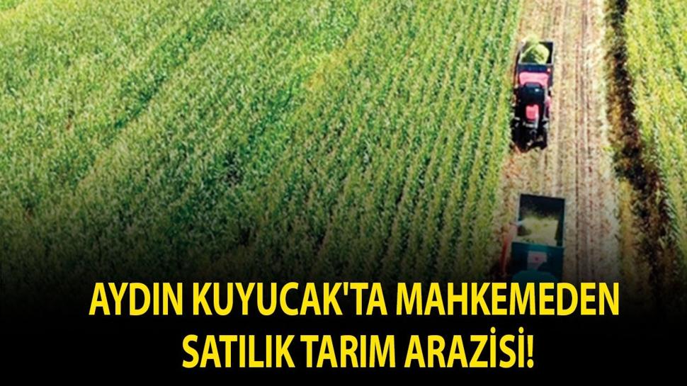 Aydın Kuyucak'ta mahkemeden satılık tarım arazisi!