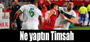 Ne yaptn Timsah