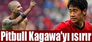 Pitbull Kagawa'y srr