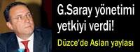 Dzce'de Aslan yaylas