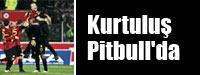 Kurtulu Pitbull'da