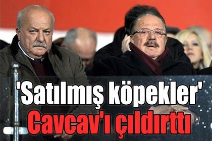 'Satlm kpekler' Cavcav' ldrtt