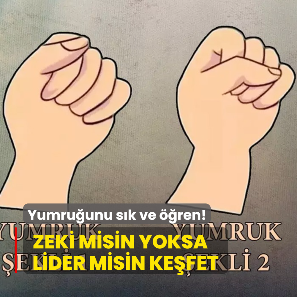 Kiilik testi: Zeki misin lider mi kefet! Yumruk eklini se ve ren...
