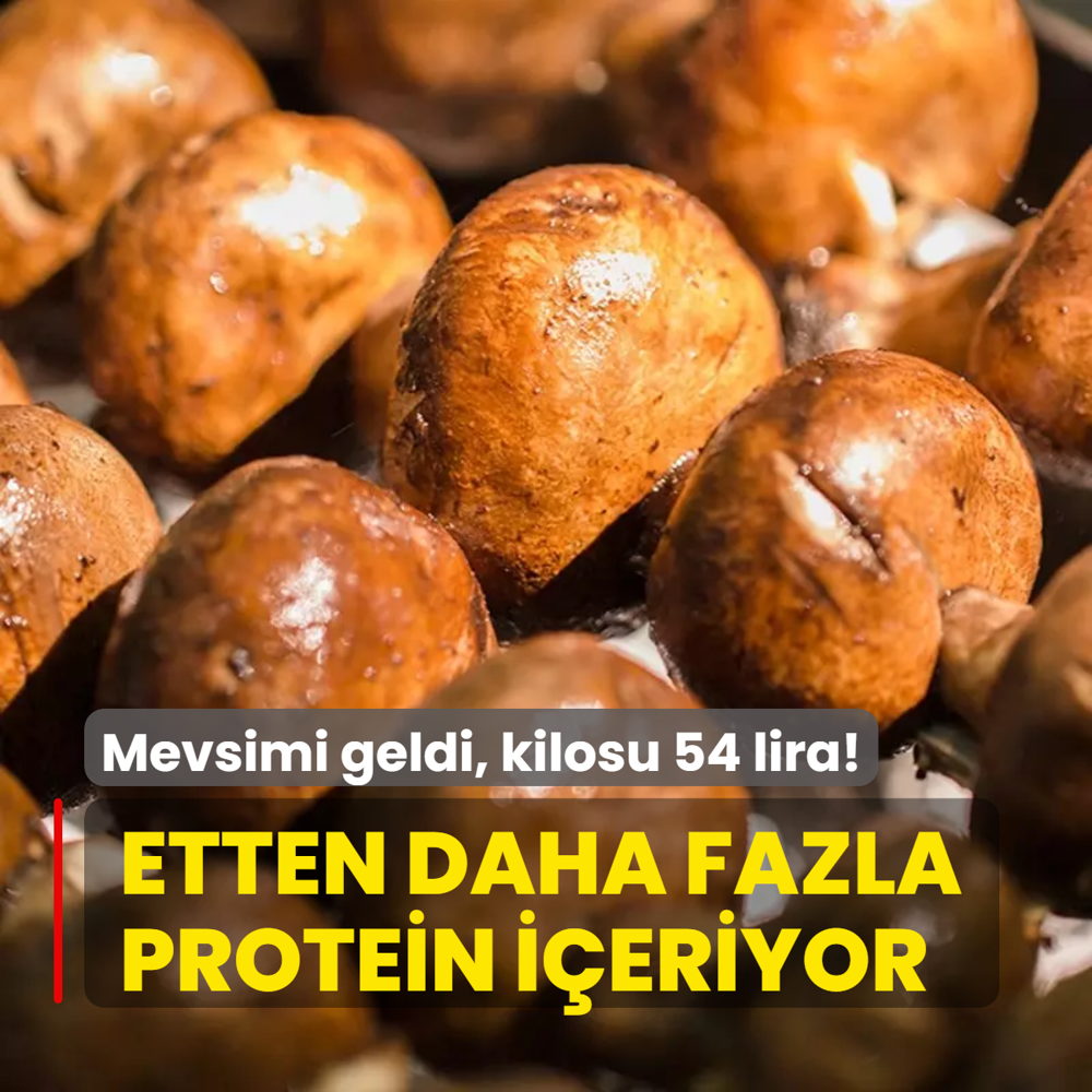 Toplanma mevsimi geldi: Etten daha fazla protein ieriyor! Kilosu 54 liradan satlyor
