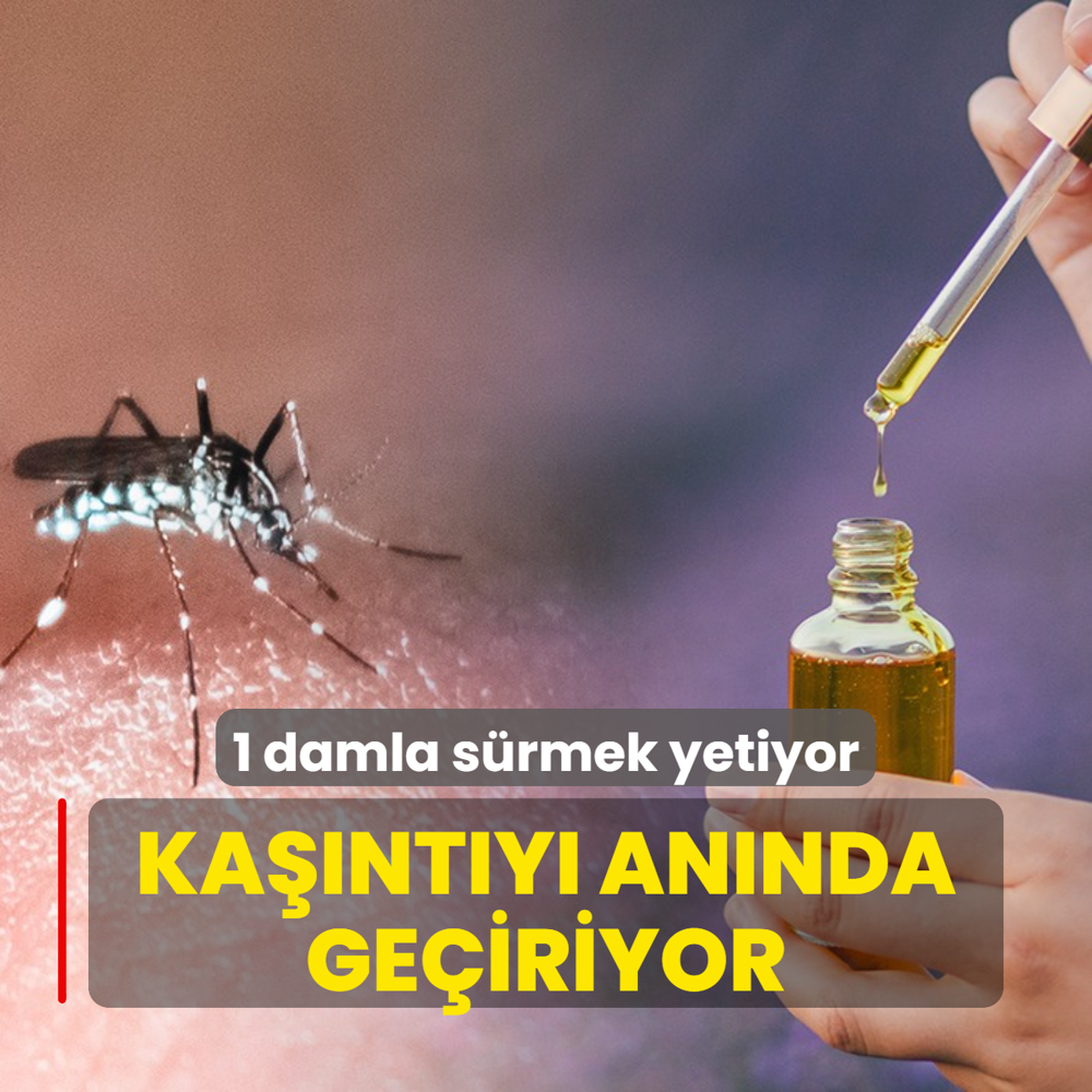 Sinek sr kantsn annda geiriyor! 1 damla srmek yetiyor, cildi yumuack yapyor