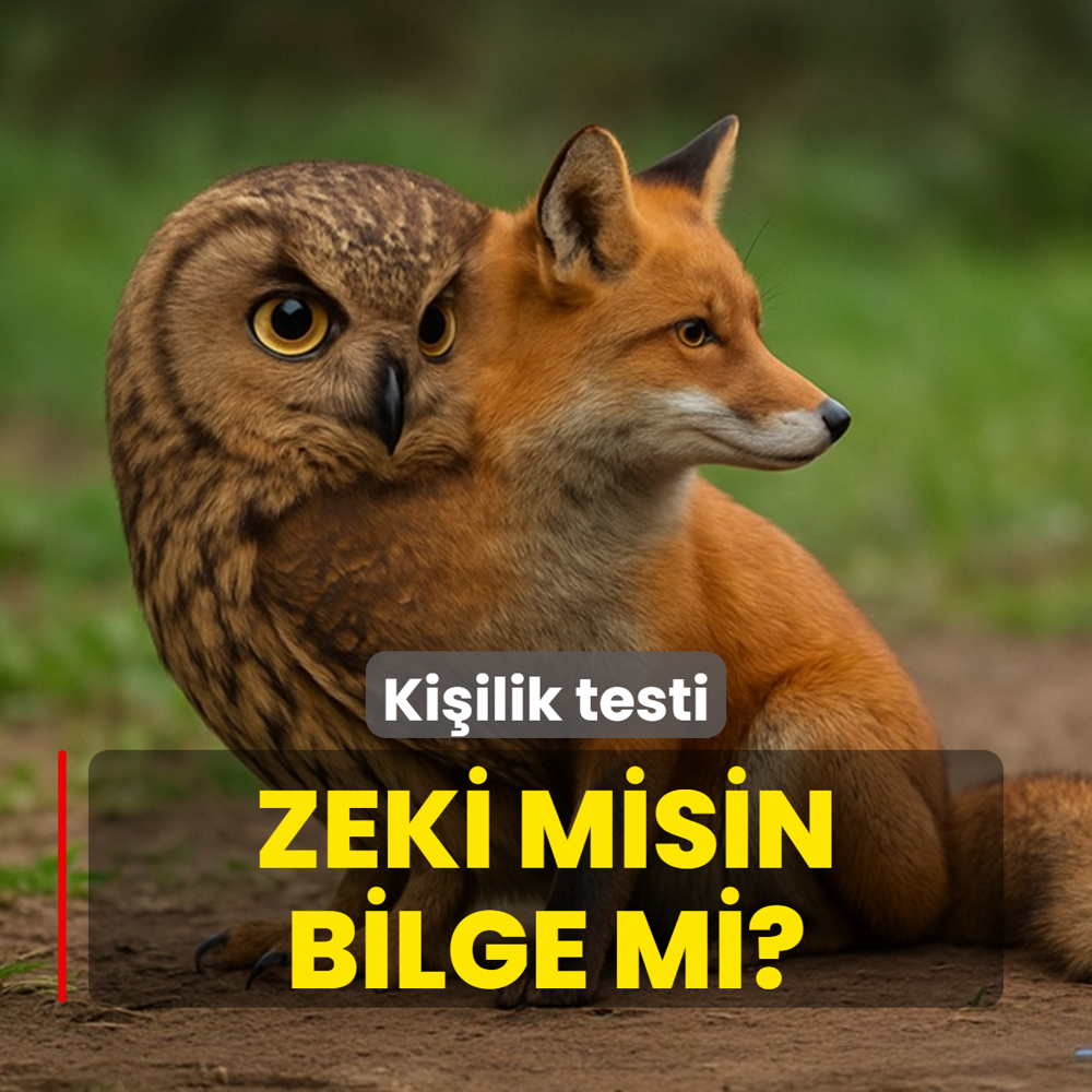 Resimde ilk bayku mu tilki mi grdn? Kiilik testi zeki misin bilge mi sylyor