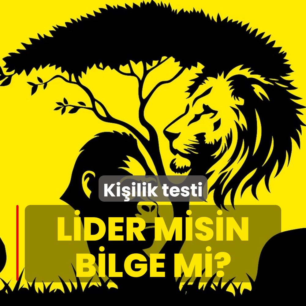 Kiilik testi: Resimde ilk ne grdn? Lider misin yoksa bilge mi tek bakta ren