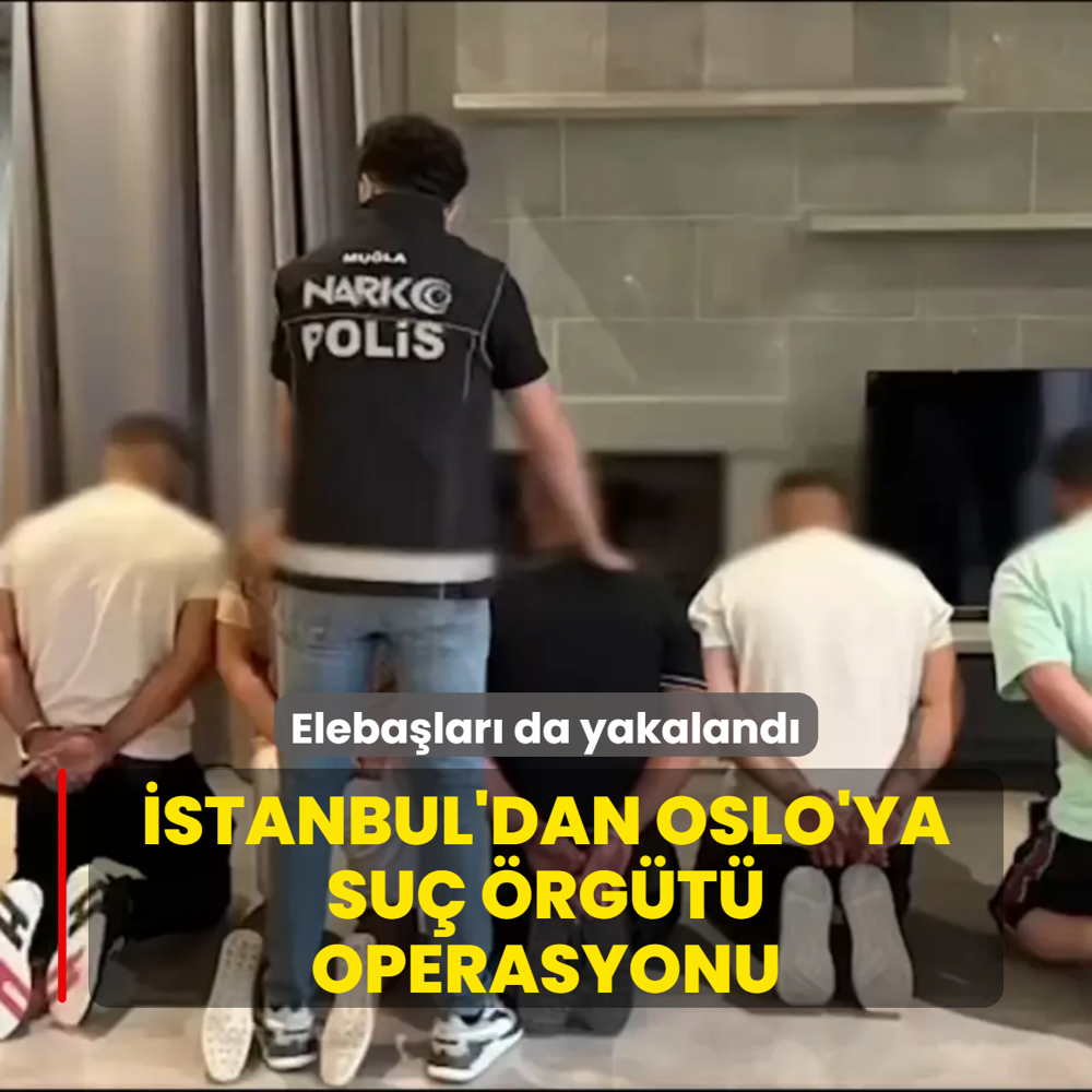 Elebalar da yakaland! stanbul'dan Oslo'ya su rgt operasyonu
