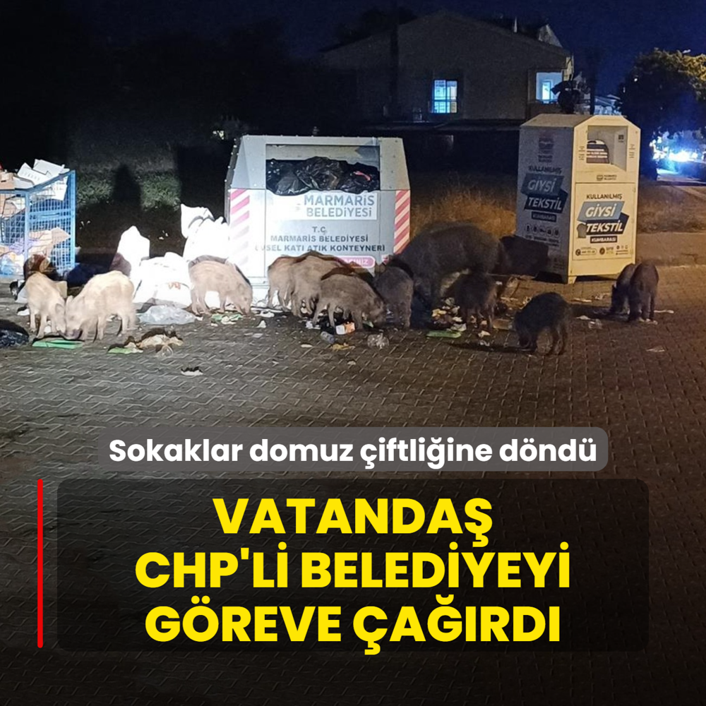 Sokaklar domuz iftliine dnd! Vatanda CHP'li belediyeyi greve ard