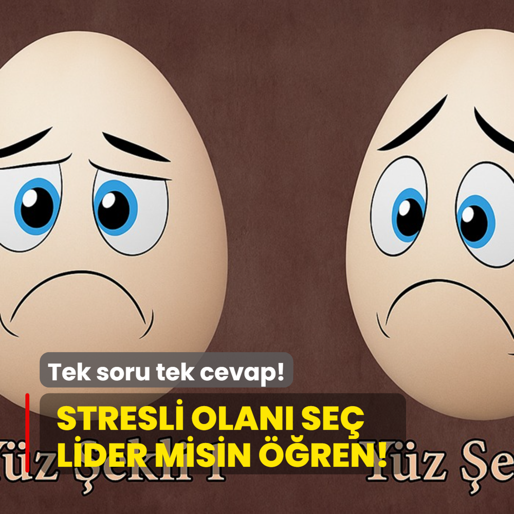 Kiilik testi: Stresli olan se, lider misin ren! Tek soru tek cevap