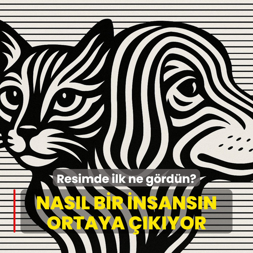 Kiilik testi: Resimde ilk kedi mi kpek mi grdn? Nasl bir insansn ortaya kyor