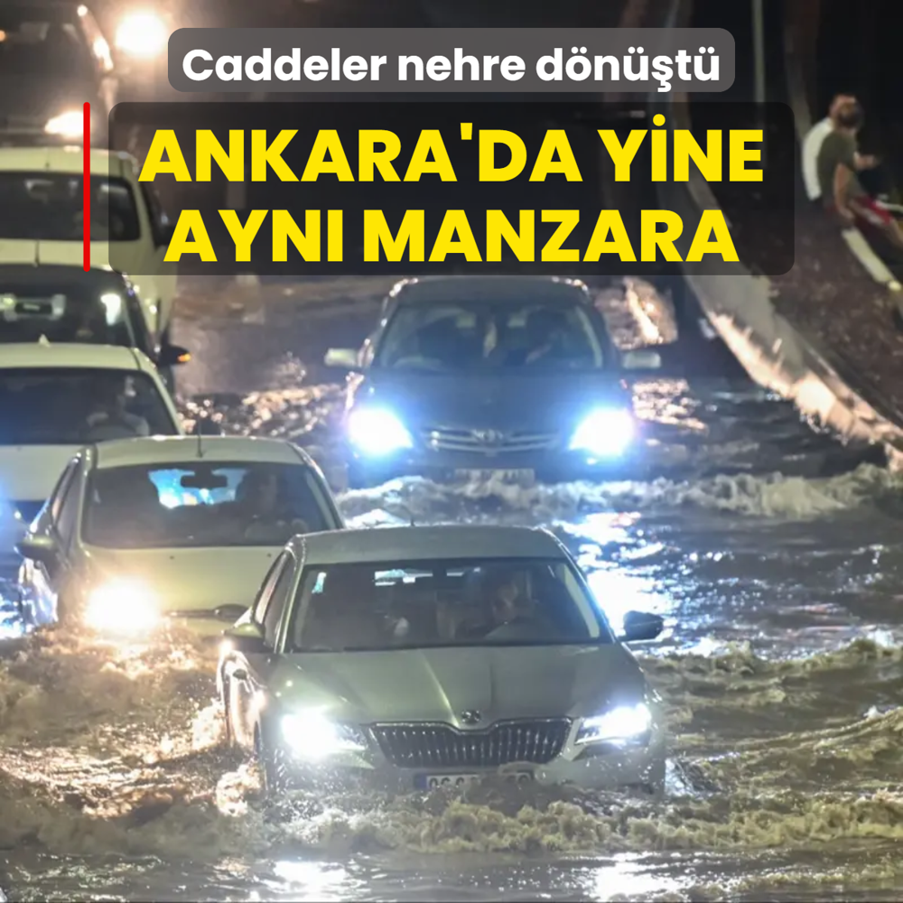 Bakent sele teslim! Saanak hayat fel etti