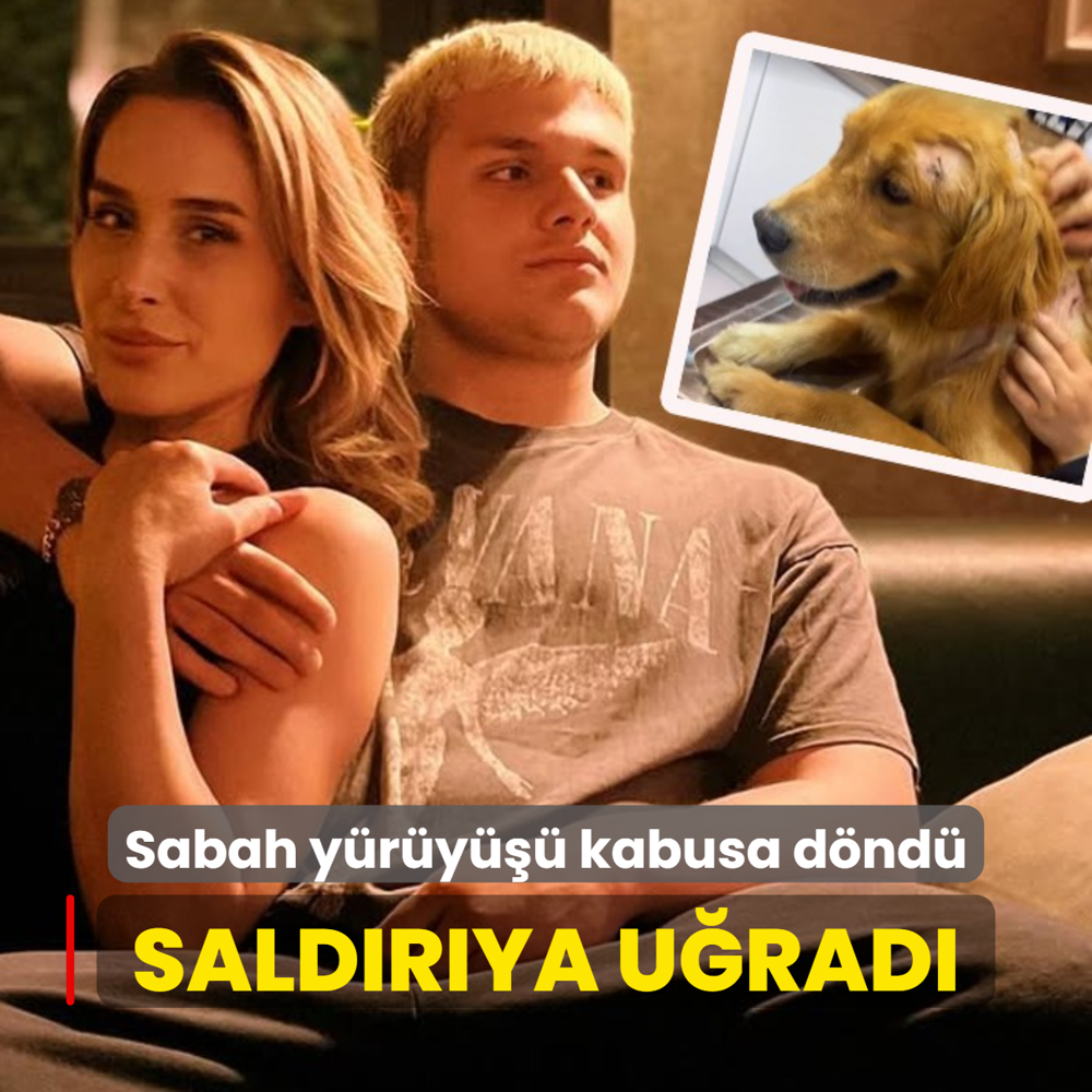 Sabah yry kabusa dnd! Olu ve kpei saldrya urad