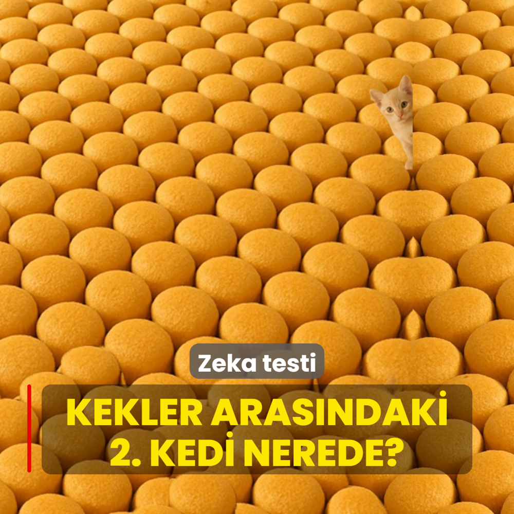 Zeka testi: Keklerin arasndaki 2. Kedi nerede? 100 kiiden sadece 13' grebildi