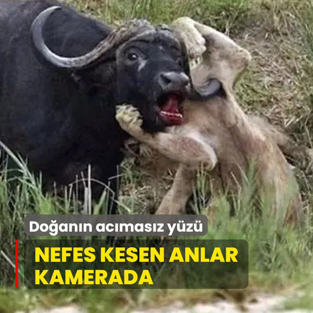 Doann acmasz yz! Nefes kesen anlar kamerada