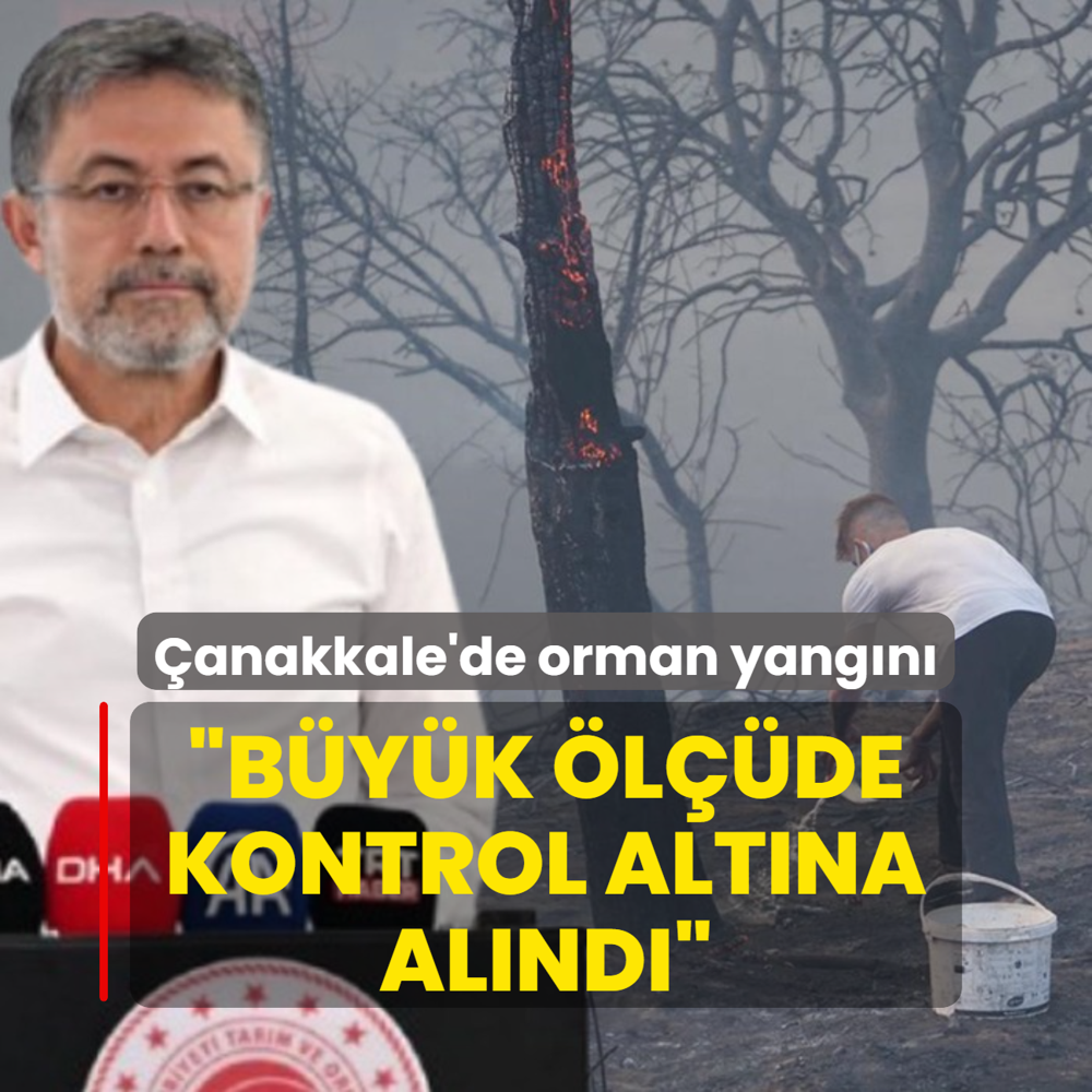 anakkale'de orman yangn! Bakan Yumakl: 24 vatandamz dumandan etkilendi