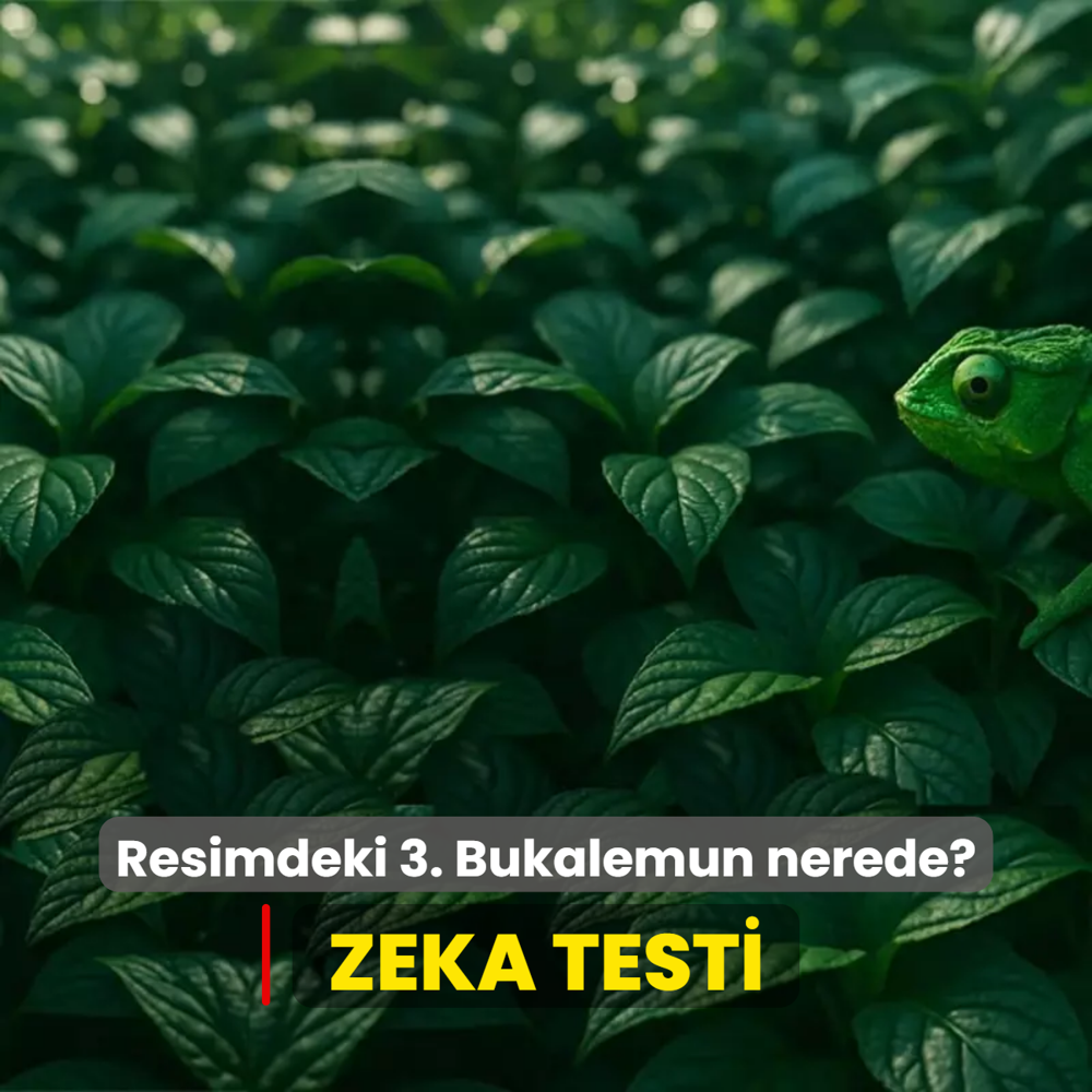Zeka testi: Resimdeki 3. Bukalemunu 7 saniyede bulabilir misiniz?