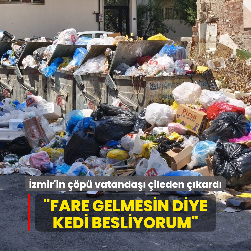 zmir'in p vatanda ileden kard: Fare gelmesin diye kedi besliyorum