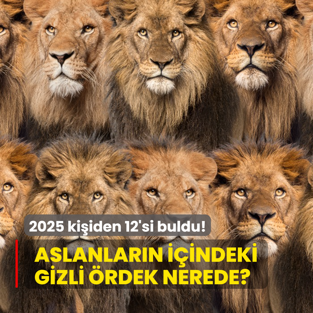 Zeka testi: Aslanlarn iindeki rdek nerede? Galatasarayllar bile 9 saniyede bulamad