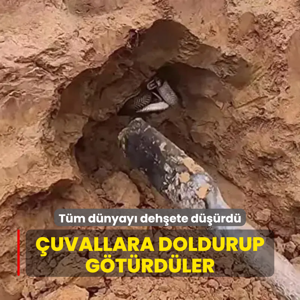 Tm dnyay dehete drd! uvallara doldurup gtrdler