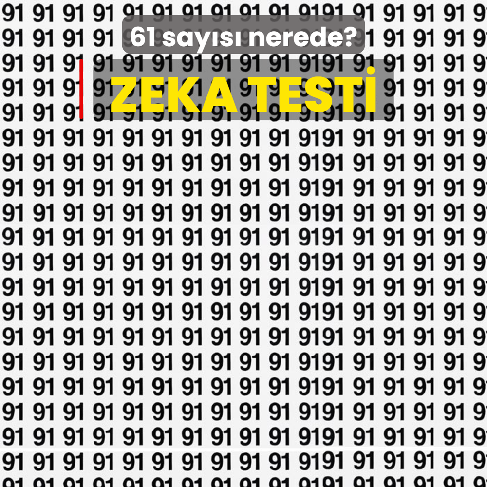 Zeka testi: 91'lerin iindeki 61 says nerede? Kartal gzl msn ren