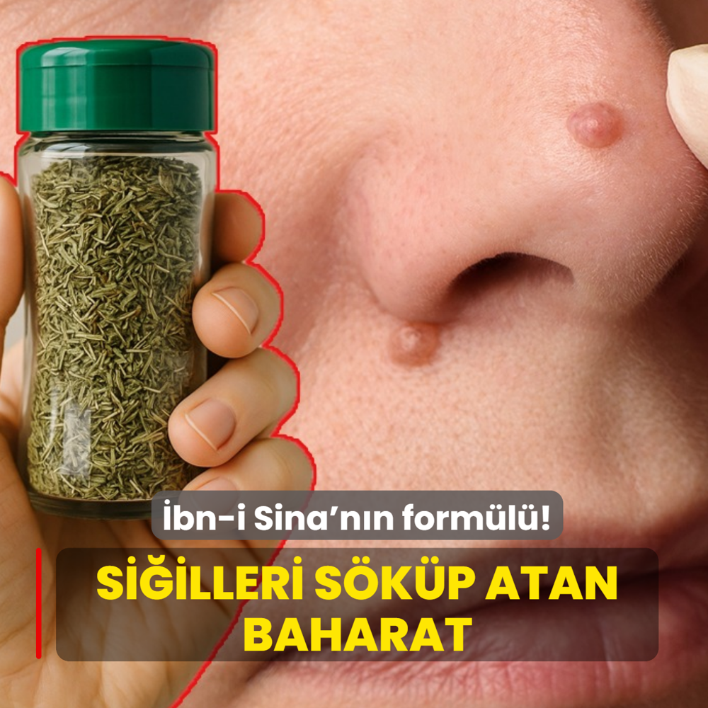 Siilleri skp atan baharat! bn-i Sina'nn baharat forml ne kurt brakyor ne mikrop