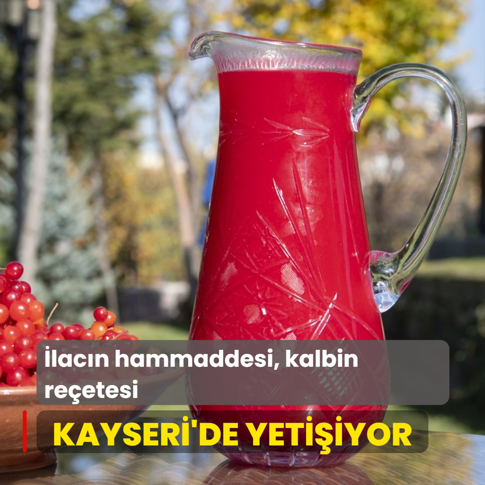 Kalbin ifas meyve Kayseri'de yetiiyor! lacn hammaddesi, damarlarn reetesi