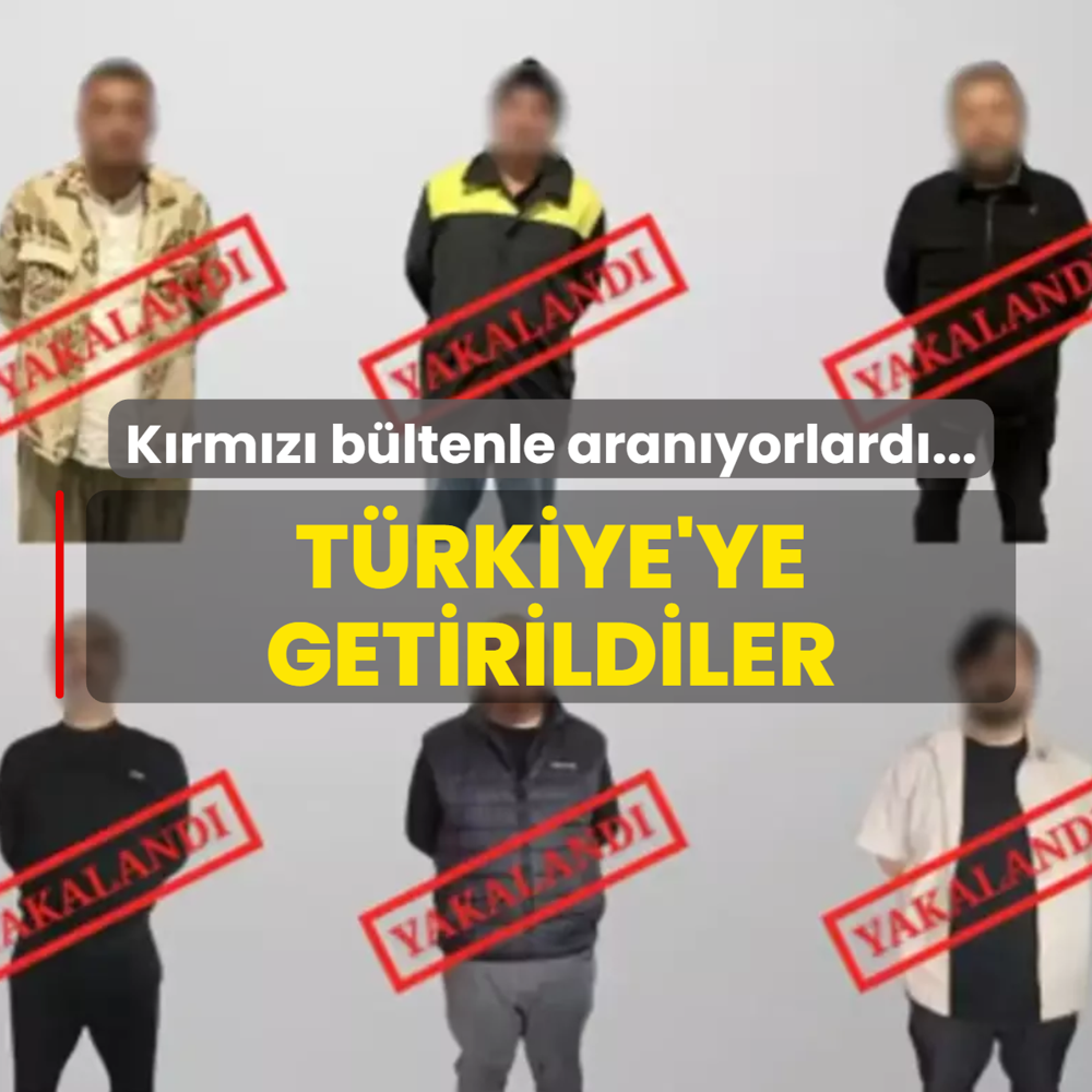 Krmz bltenle aranyorlard... Trkiye'ye getirildiler