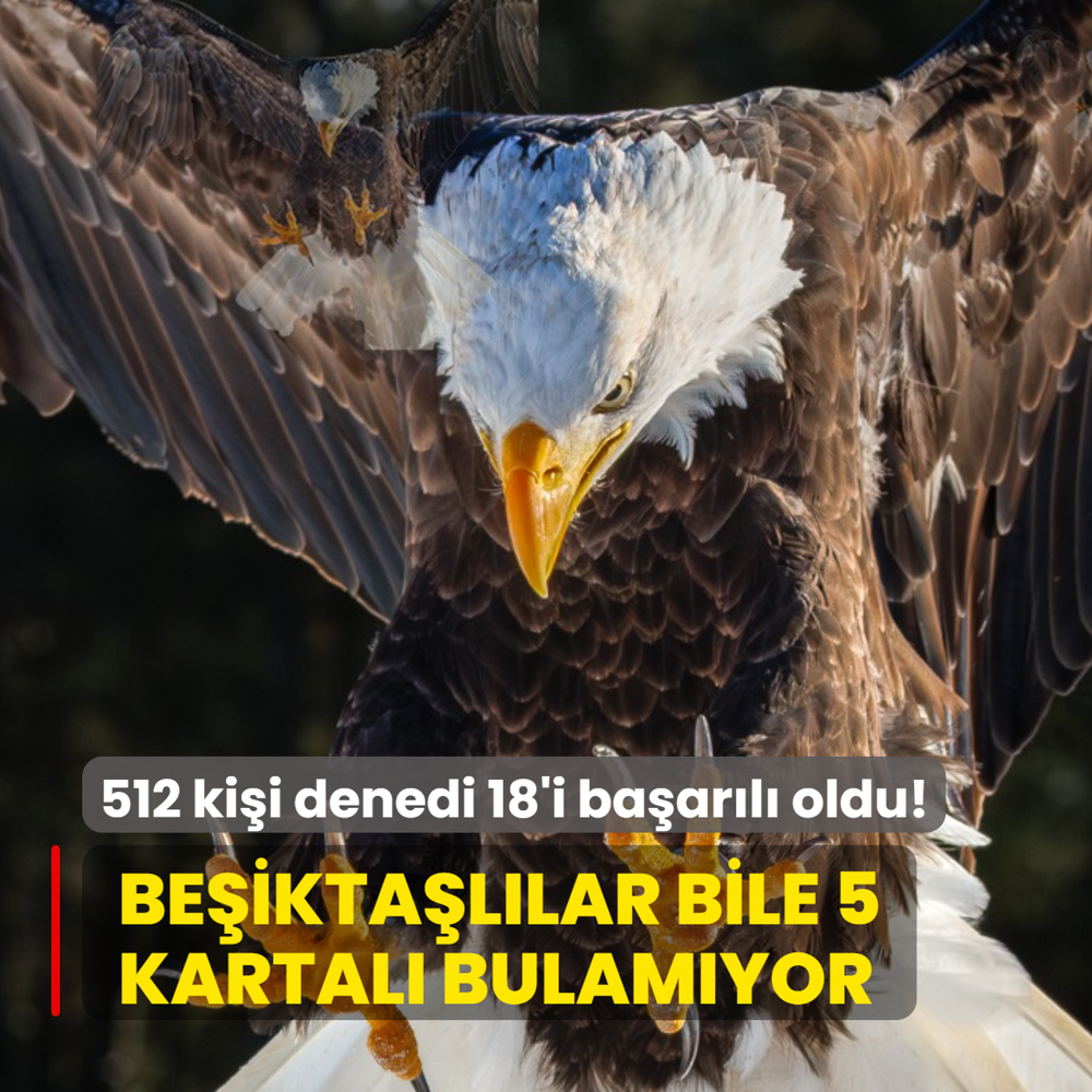 Zeka testi: 5 kartal Beiktallar bile bulamyor! 512 kii denedi, 18'i baarl oldu