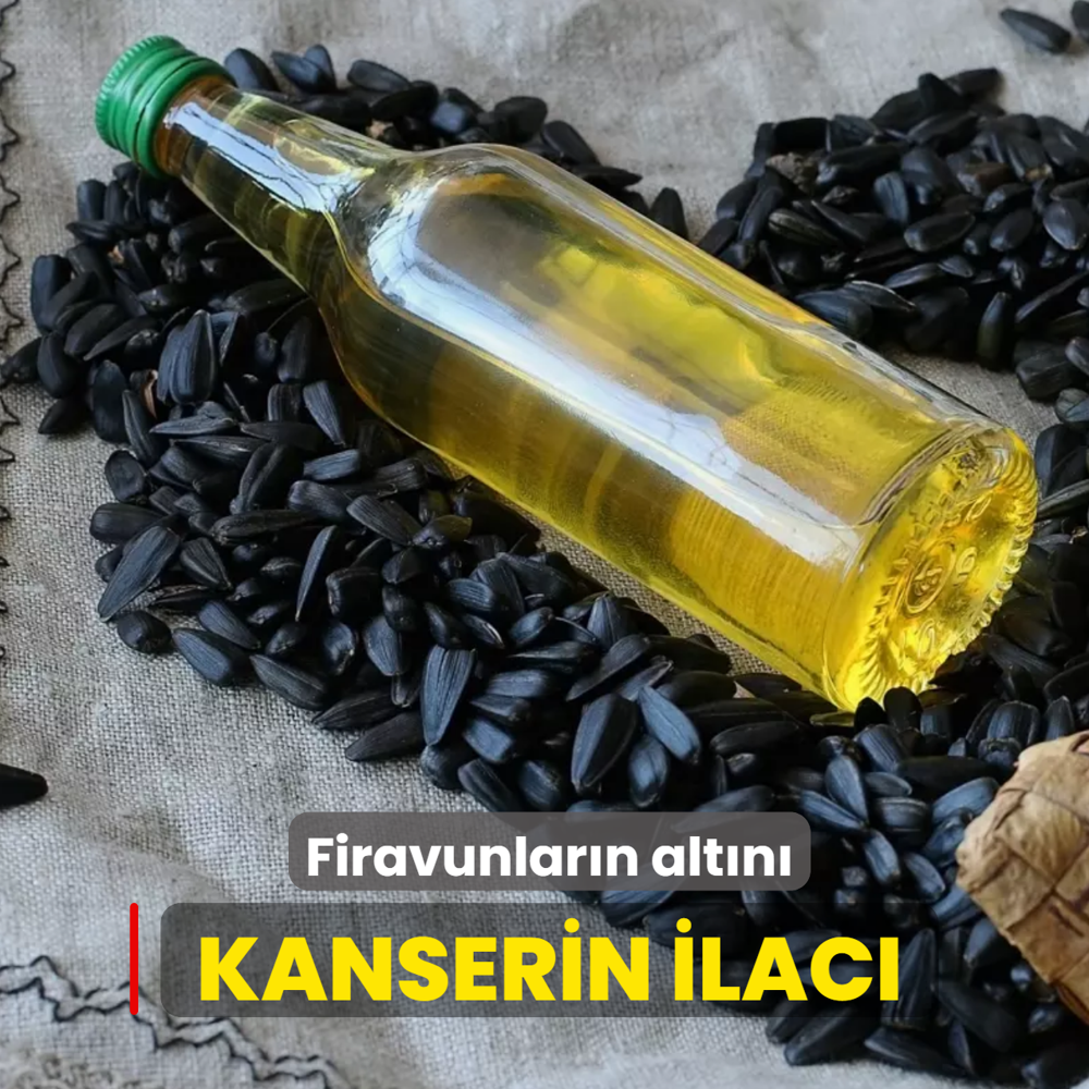 Kolesteroln pistonu: Firavunlarn altn, kanserin ilac