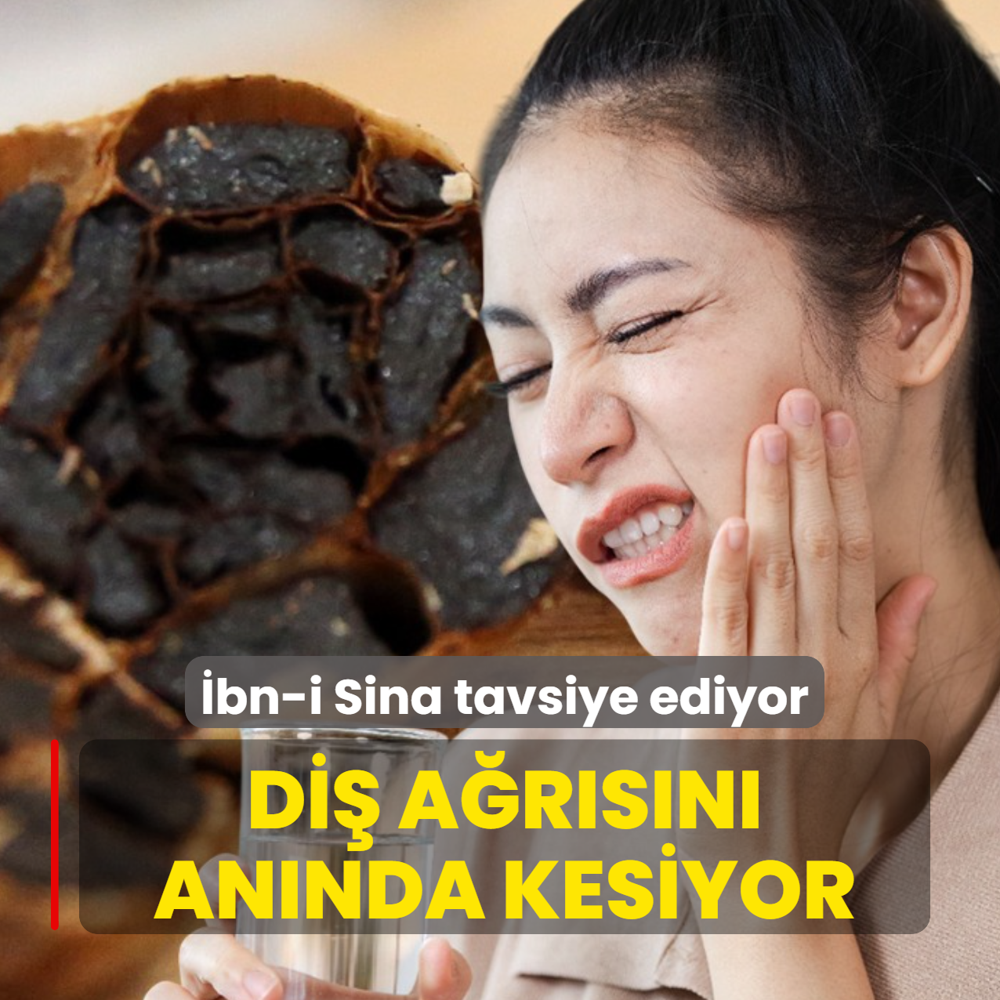 bn-i Sina srarla tavsiye ediyor: Gece yatmadan nce kullann, di arsn bak gibi kesiyor