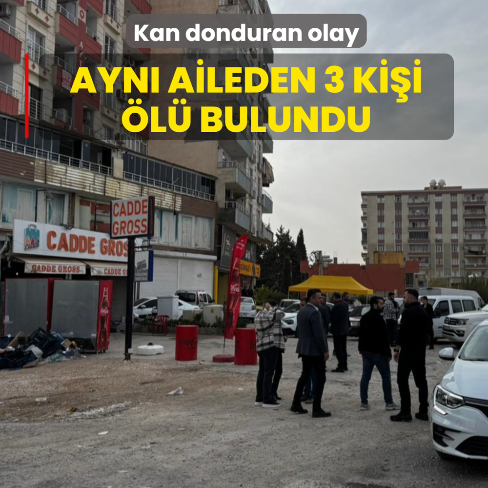 Mardin'de kan donduran olay! Ayn aileden 3 kii l bulundu
