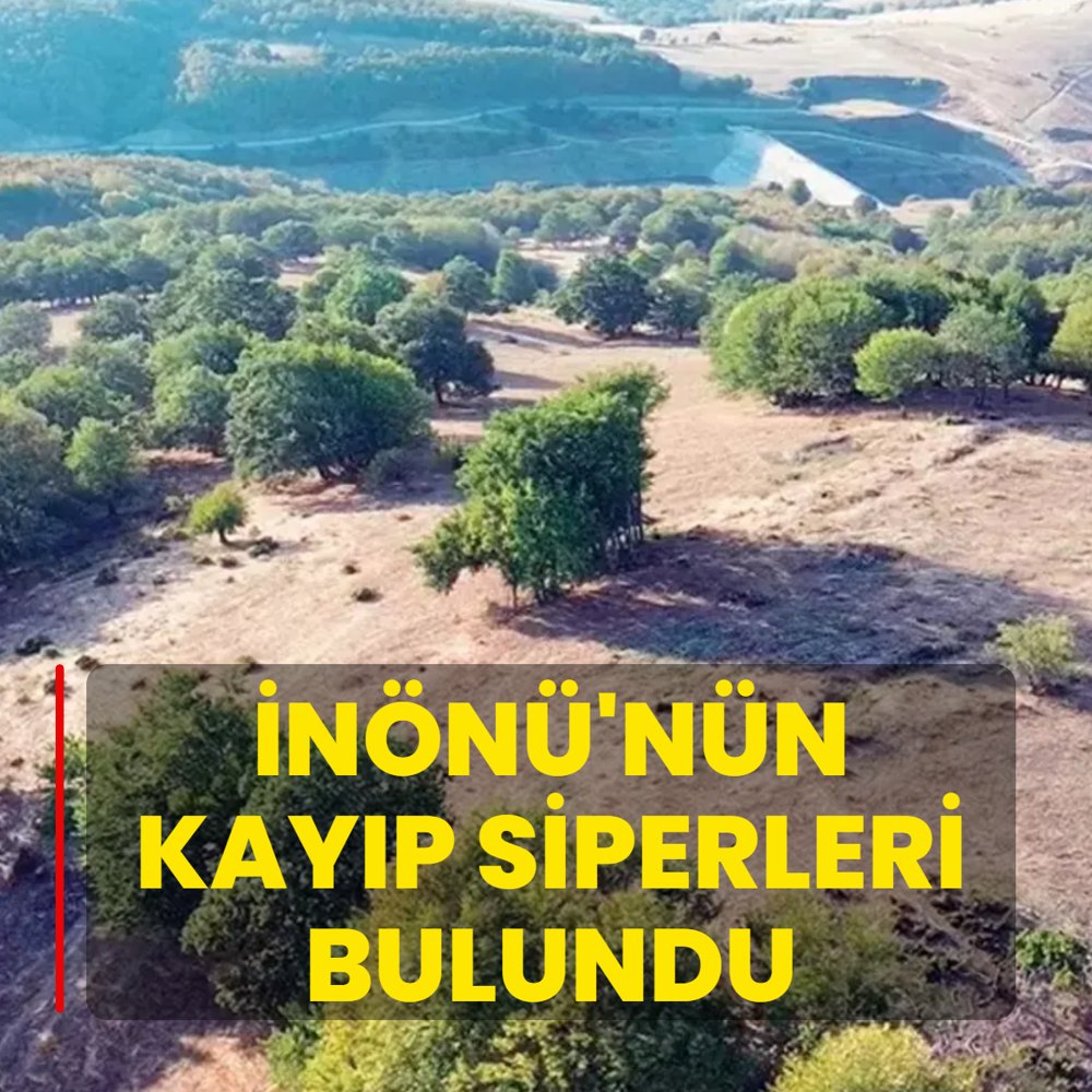 nn'nn kayp siperleri bulundu