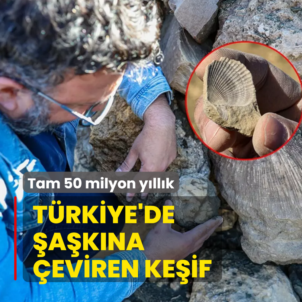 Trkiye'de akna eviren keif: Tam 50 milyon yllk