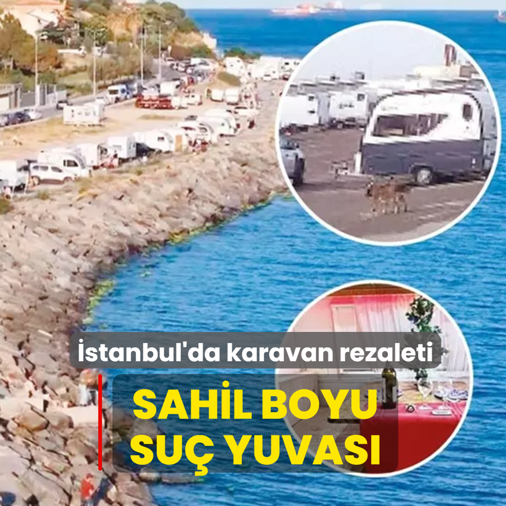 Sahil boyu su yuvas