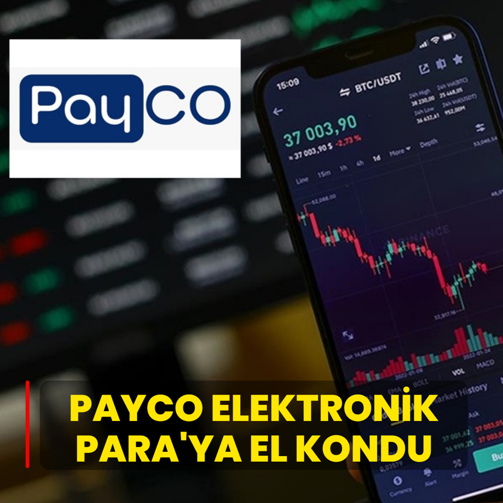 PAYCO Elektronik Para'ya el kondu