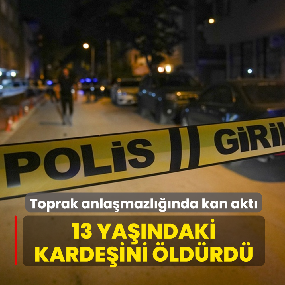 Toprak anlamazlnda kan akt: 13 yandaki kardeini ldrd