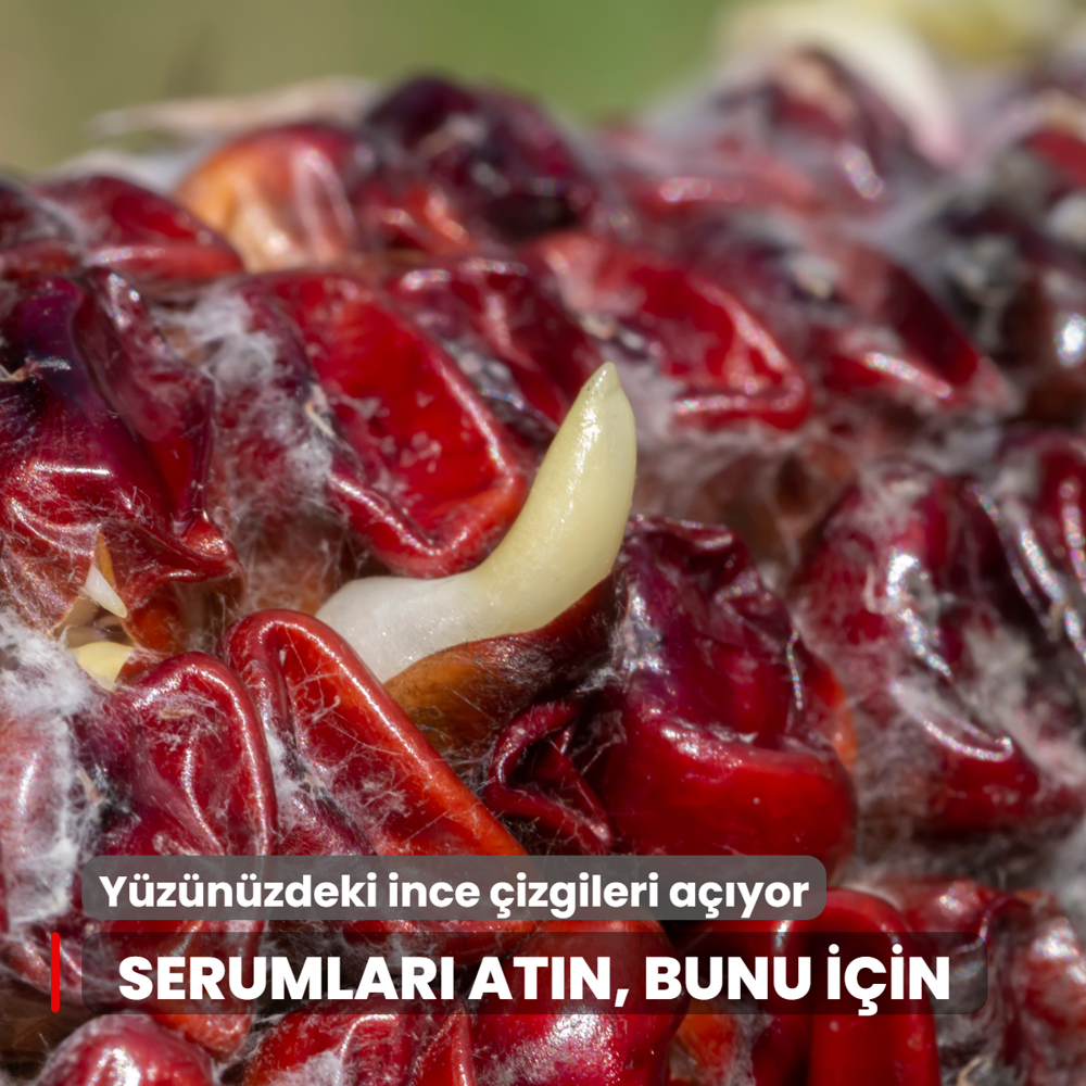 Yznzdeki ince izgileri aan o meyvenin suyu: Antiagein, antioksidan...