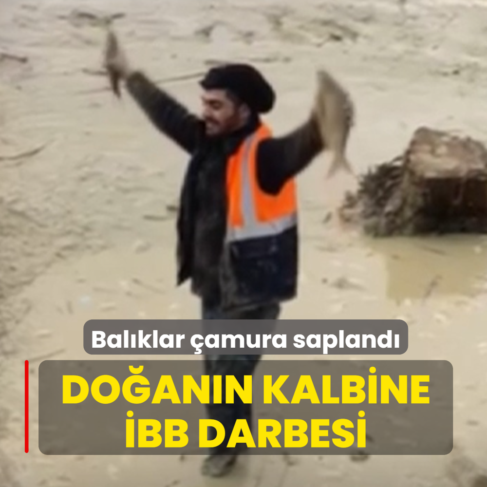 Doann kalbine BB darbesi: Su ekildi, balklar amura sapland