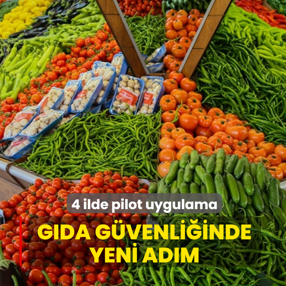 Gda gvenliinde yeni adm... 4 ilde pilot uygulama