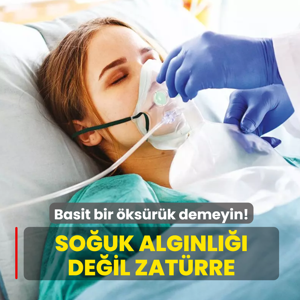 Souk algnl deil zatrre